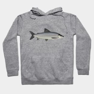 Lake Whitefish Hoodie